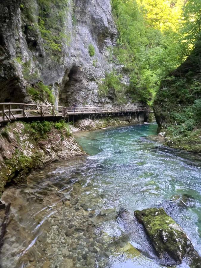 Apartma Marjetica Ii. Blejska Dobrava Buitenkant foto