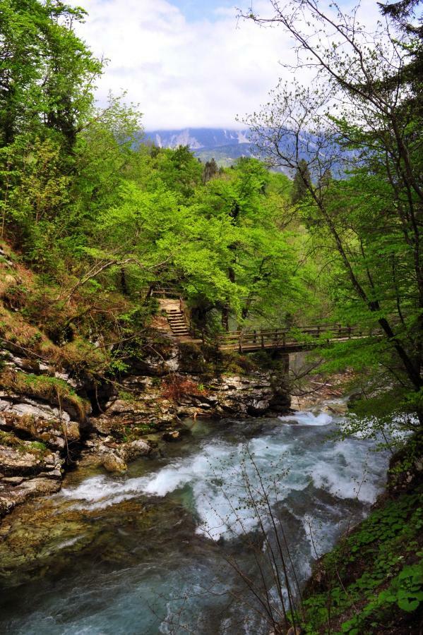 Apartma Marjetica Ii. Blejska Dobrava Buitenkant foto