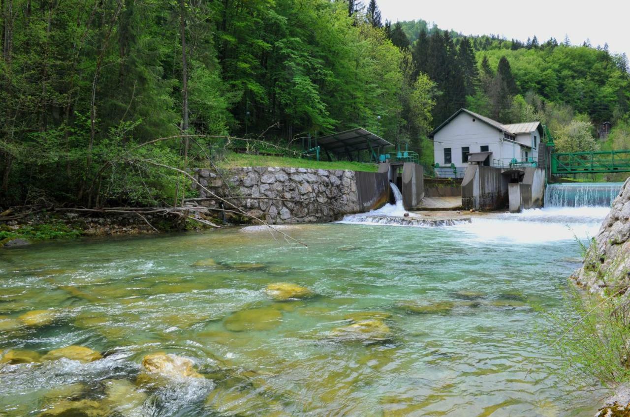 Apartma Marjetica Ii. Blejska Dobrava Buitenkant foto