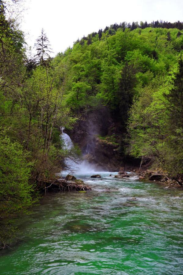 Apartma Marjetica Ii. Blejska Dobrava Buitenkant foto